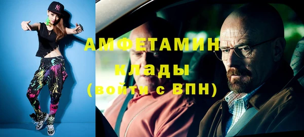 стафф Карпинск