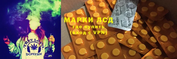 прущие грибы Касимов