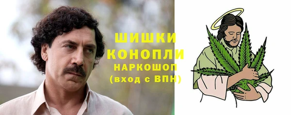 прущие грибы Касимов