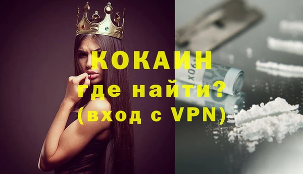 прущие грибы Касимов