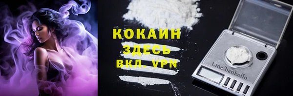 стафф Карпинск
