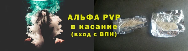 стафф Карпинск