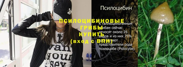 стафф Карпинск