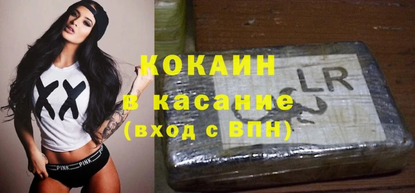 стафф Карпинск