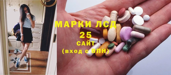 прущие грибы Касимов